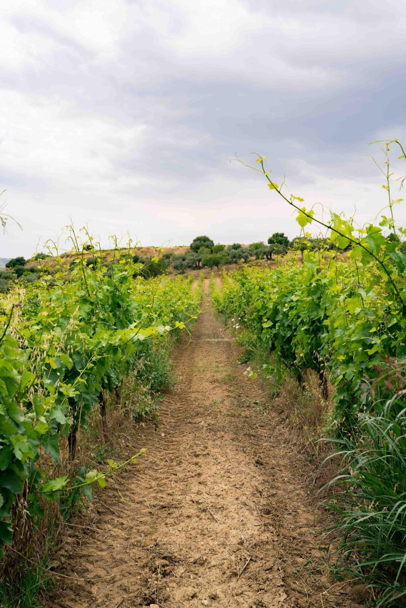 Judeka Agriresort Caltagirone Zewnętrze zdjęcie